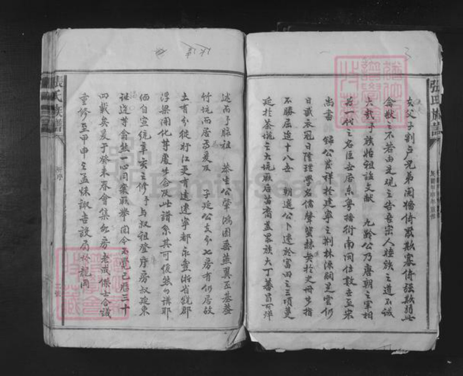 江西省赣州市宁都县小布镇张氏族谱-张氏宗谱.pdf电子版插图4