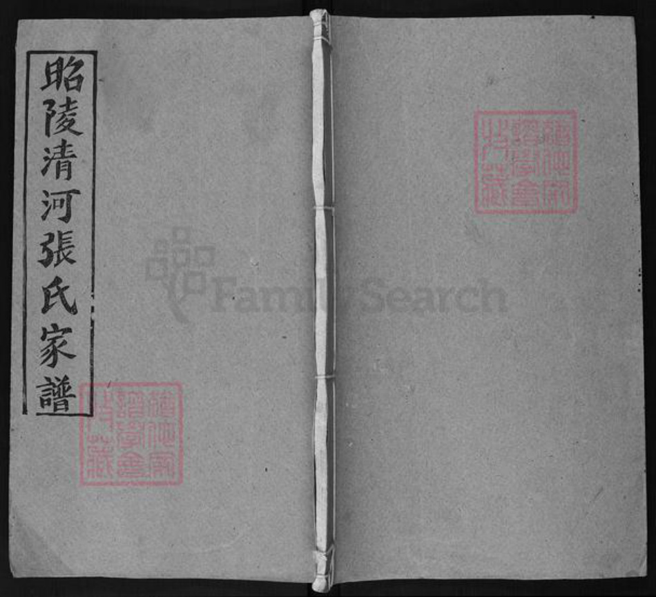 湖南省永州市祁阳县张氏族谱-昭陵清河张氏家谱.pdf电子版