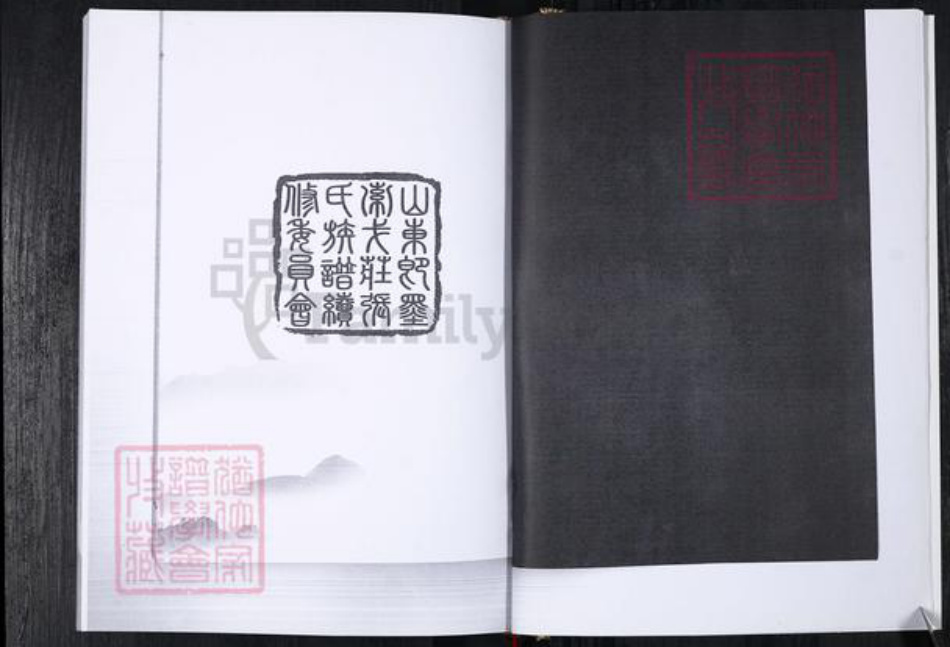 山东省青岛市即墨区张氏族谱-即墨张氏族谱.索戈庄.pdf电子版插图3