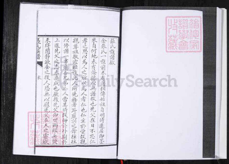 山东省青岛市张氏族谱-张氏族谱.任家屯.pdf电子版插图3