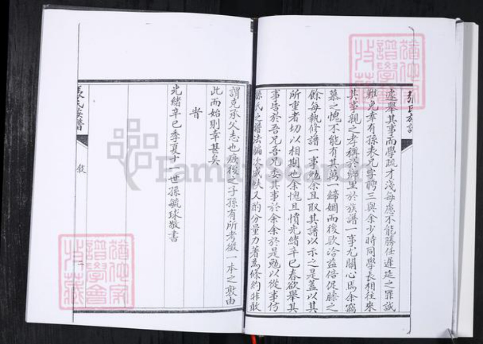 山东省青岛市张氏族谱-张氏族谱.任家屯.pdf电子版插图4