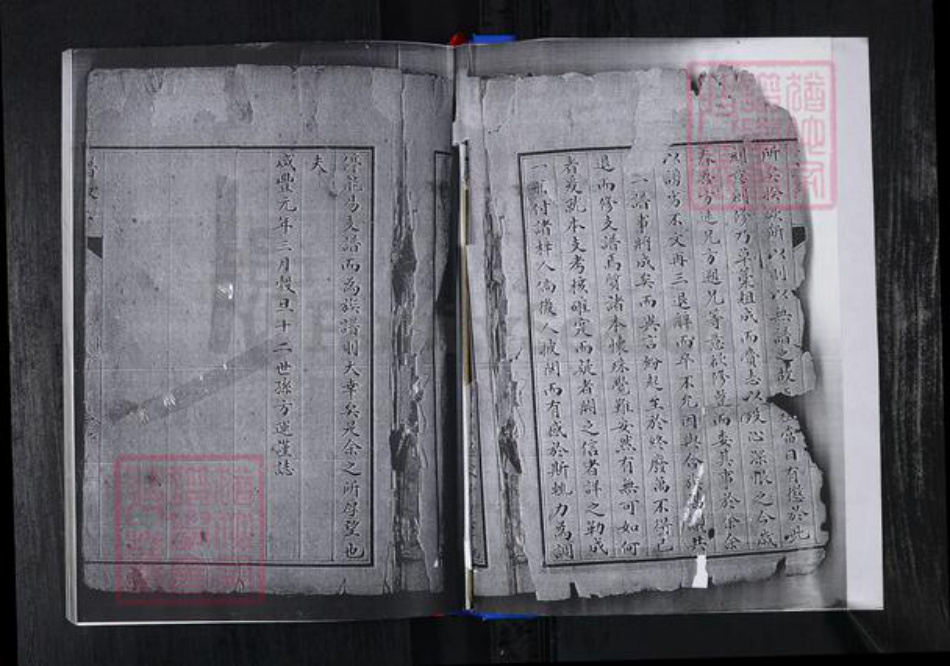 山东省青岛市崂山区张氏族谱-峪夼社区张氏支谱.pdf电子版插图2