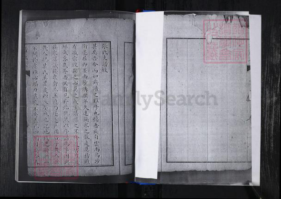 山东省青岛市崂山区张氏族谱-峪夼社区张氏支谱.pdf电子版插图3