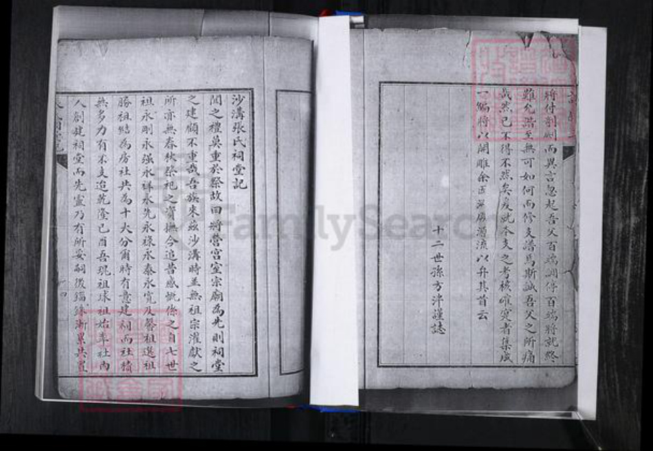 山东省青岛市崂山区张氏族谱-峪夼社区张氏支谱.pdf电子版插图4