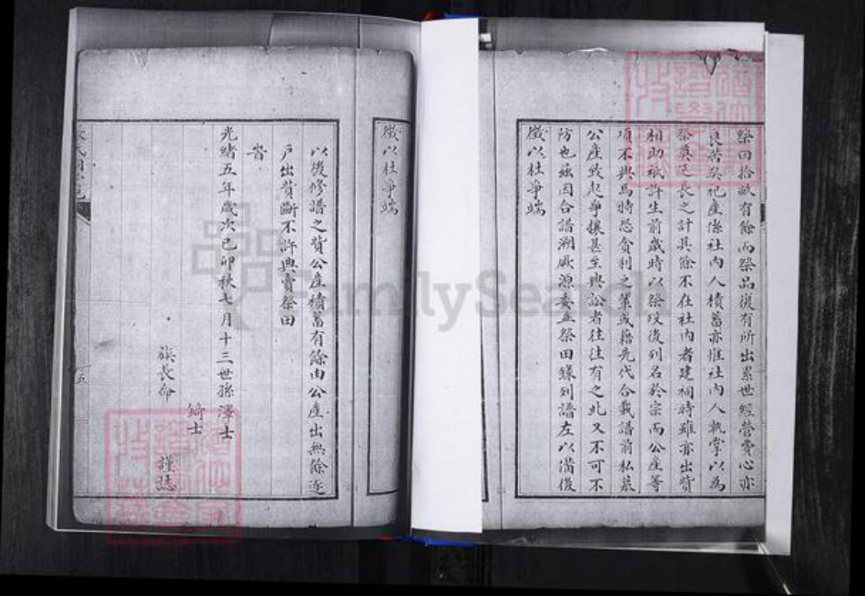 山东省青岛市崂山区张氏族谱-峪夼社区张氏支谱.pdf电子版插图5