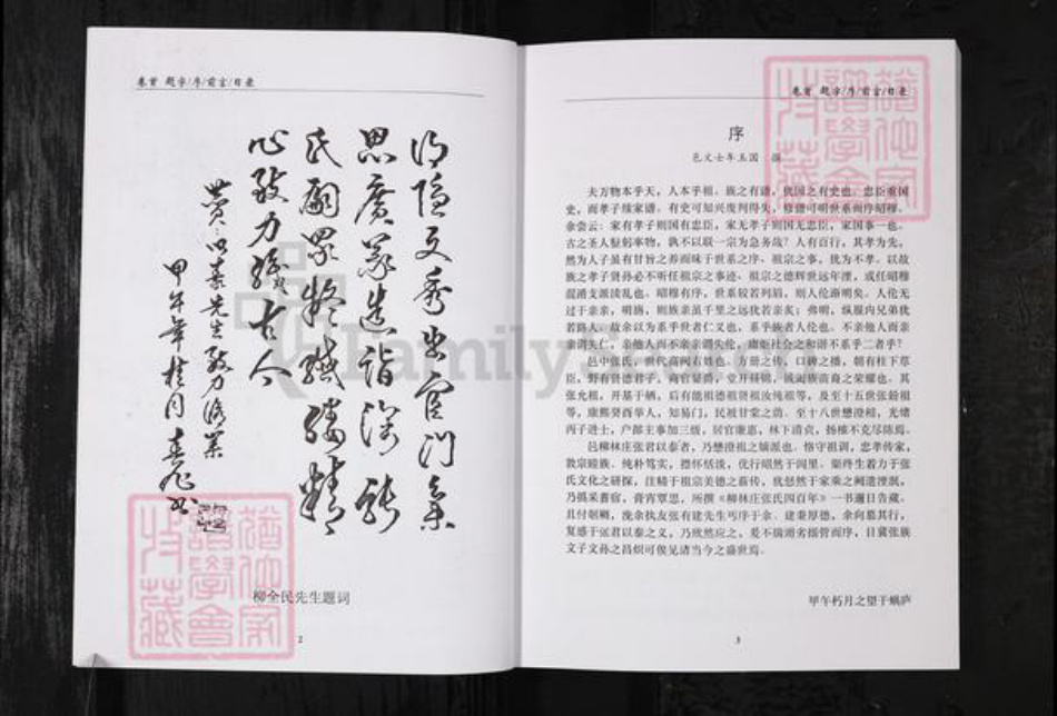 山东省烟台市栖霞市张氏族谱-柳林庄张氏四百年.pdf电子版插图5