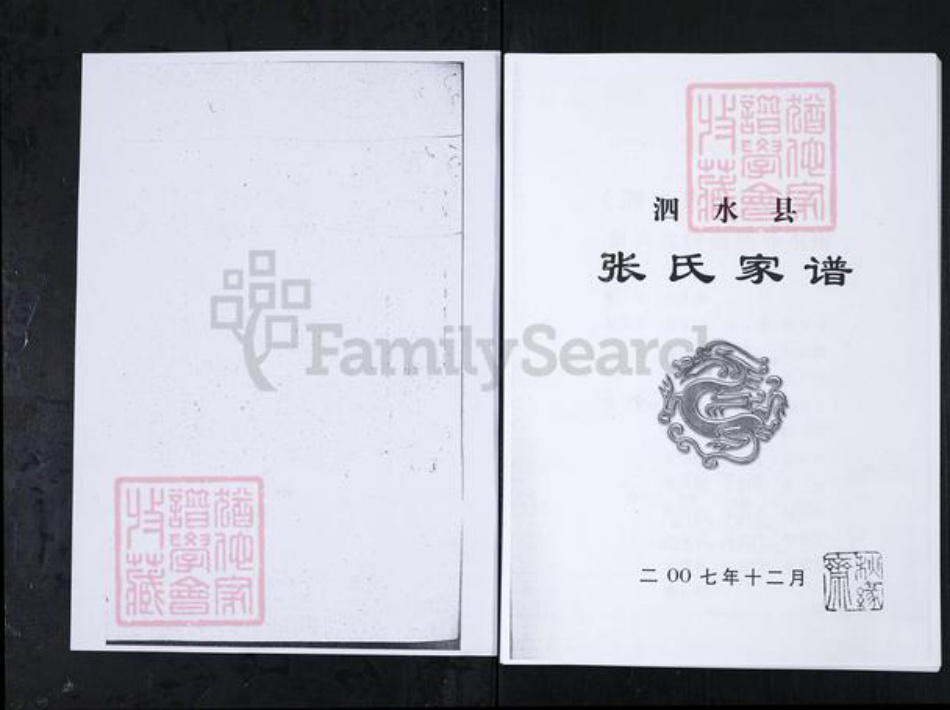 山东省济宁市泗水县张氏族谱-泗水县张氏家谱.pdf电子版