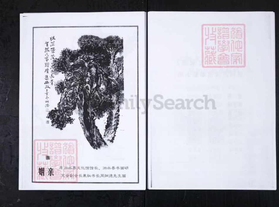 山东省济宁市泗水县张氏族谱-泗水县张氏家谱.pdf电子版插图3