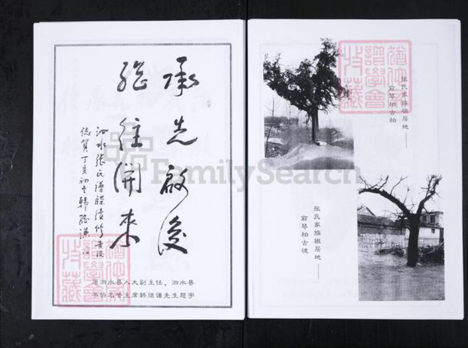 山东省济宁市泗水县张氏族谱-泗水县张氏家谱.pdf电子版插图4