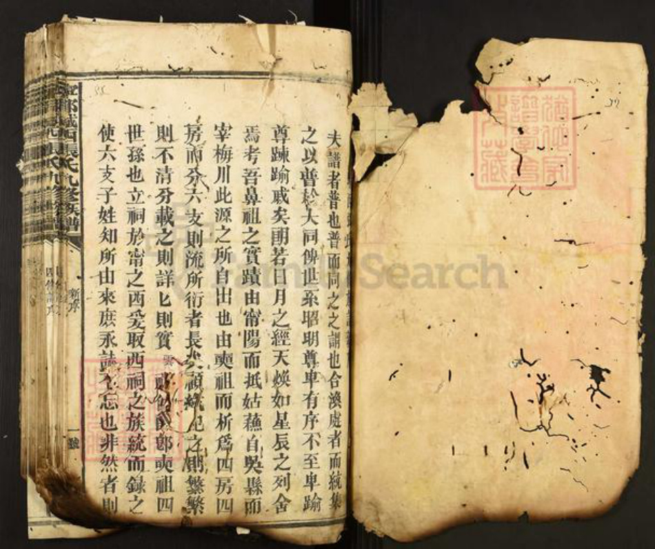 江西省赣州市宁都县张氏族谱-宁都城西张氏九修族谱.pdf电子版插图1