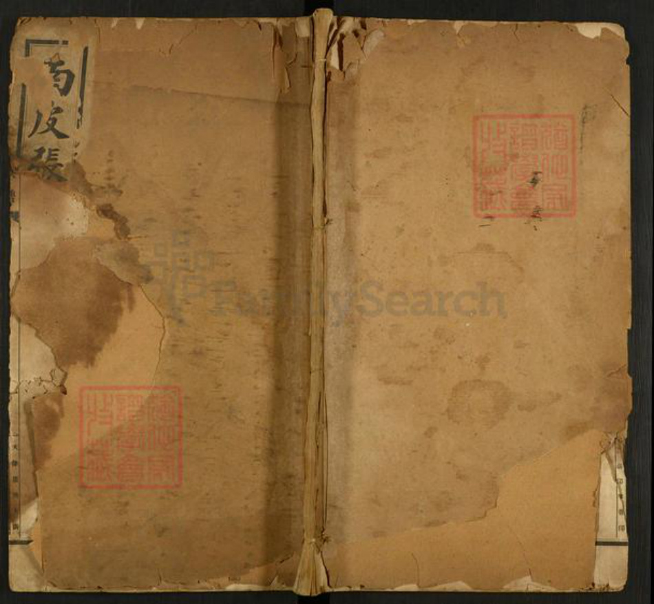 河北省沧州东光县大单镇张氏族谱-南皮张氏族谱.pdf电子版