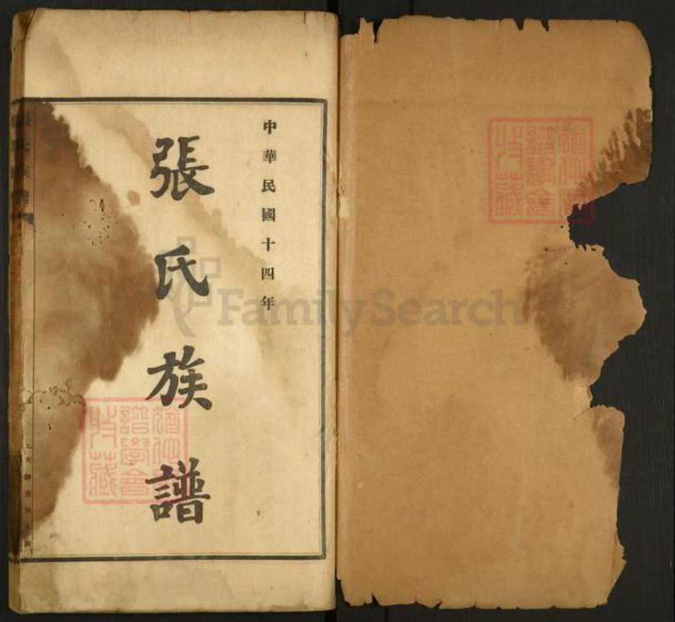 河北省沧州东光县大单镇张氏族谱-南皮张氏族谱.pdf电子版插图1