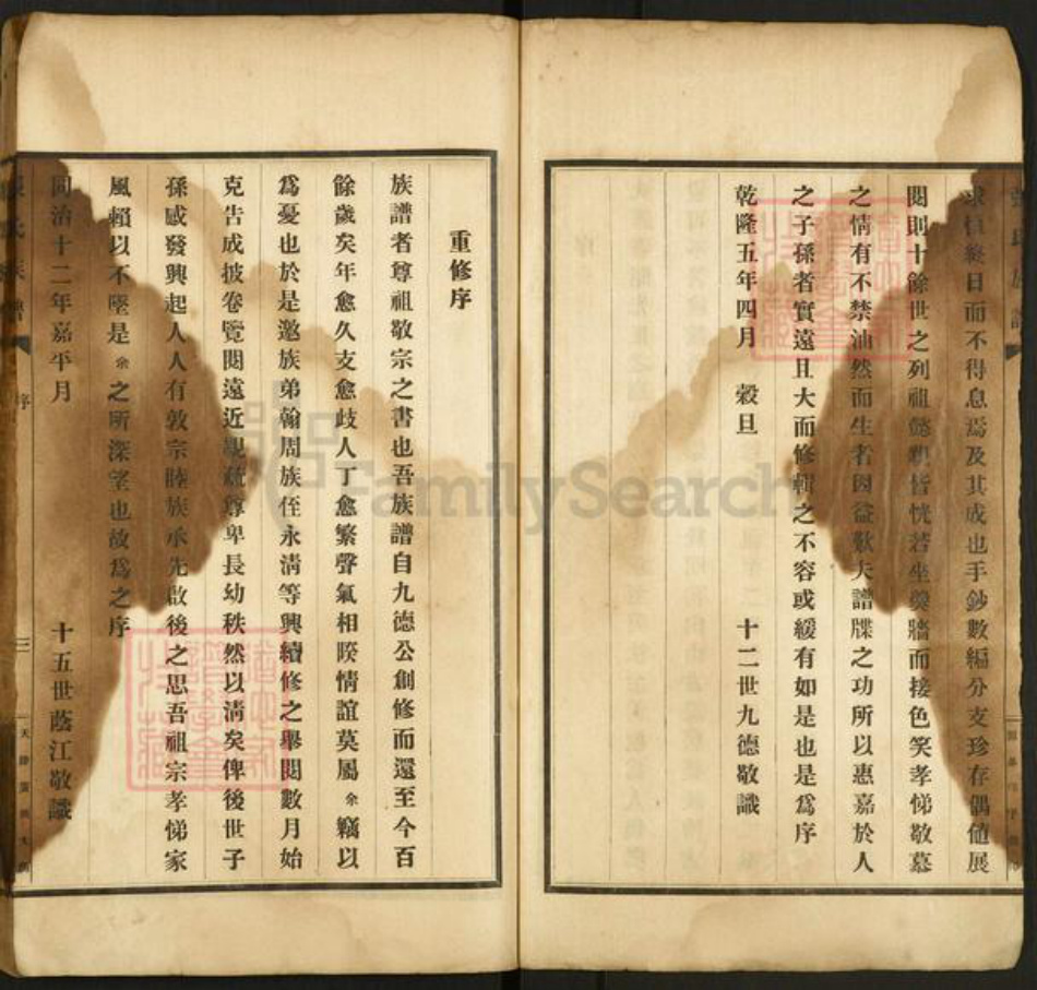 河北省沧州东光县大单镇张氏族谱-南皮张氏族谱.pdf电子版插图3