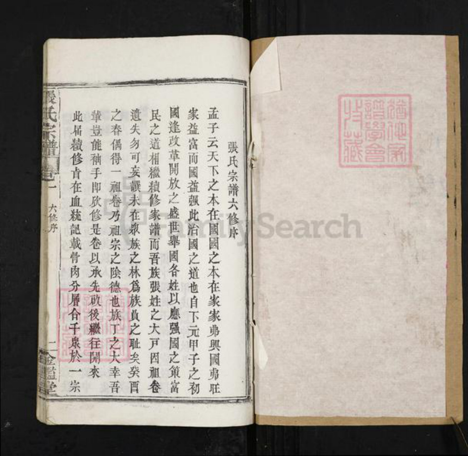 江西省九江市武宁县张氏金鉴堂族谱-张氏宗谱.pdf电子版插图1