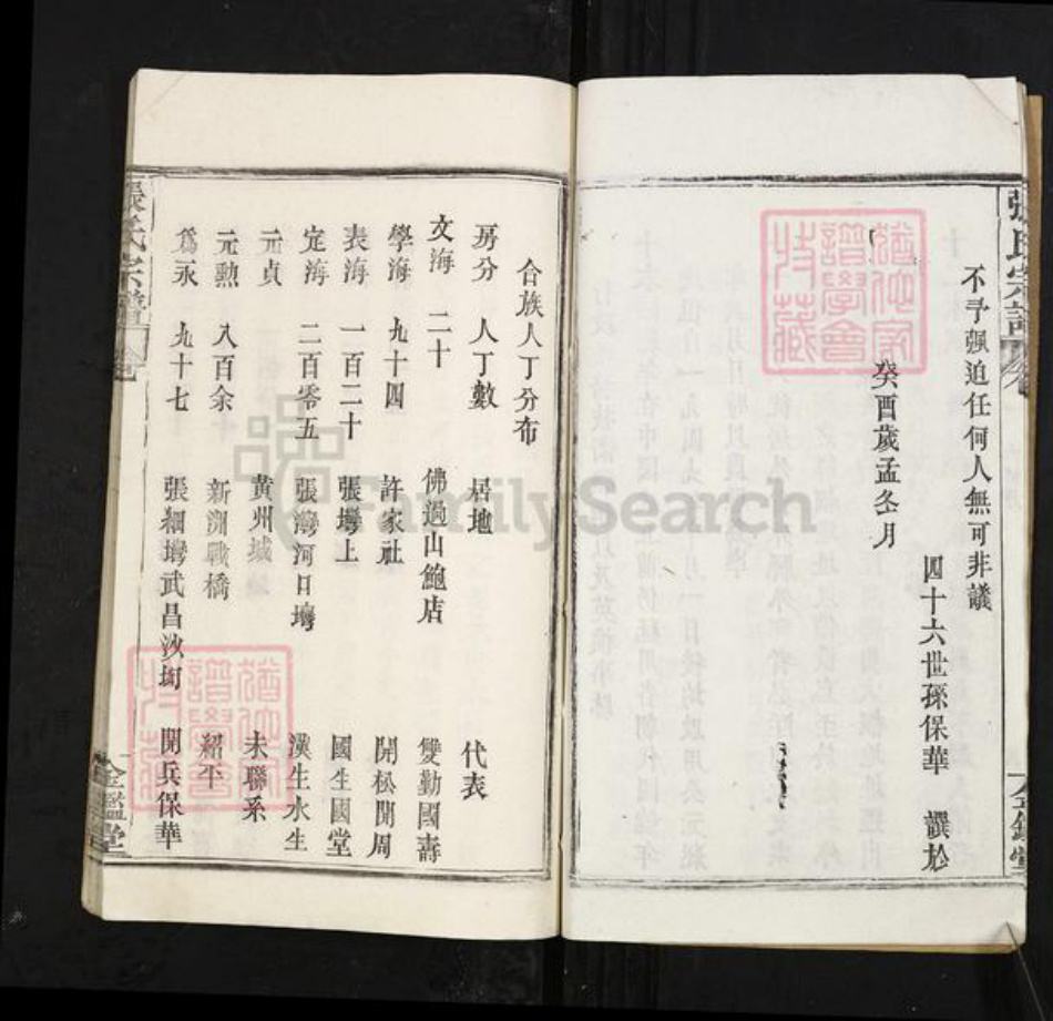 江西省九江市武宁县张氏金鉴堂族谱-张氏宗谱.pdf电子版插图5