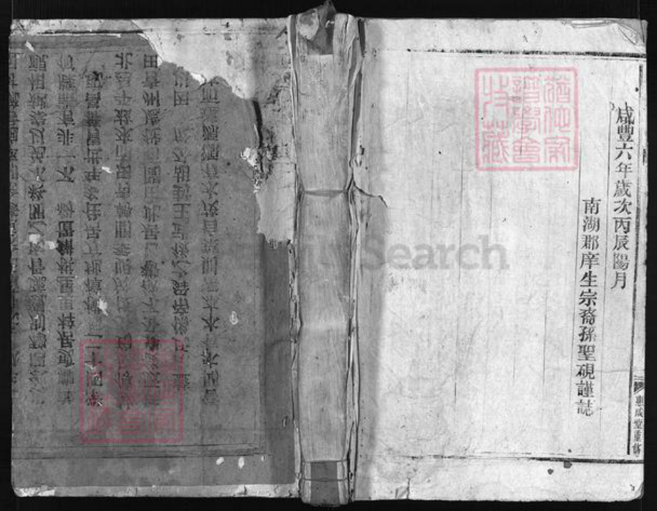 浙江省温州市平阳县张氏族谱-张氏宗谱 [不分卷].pdf电子版插图1