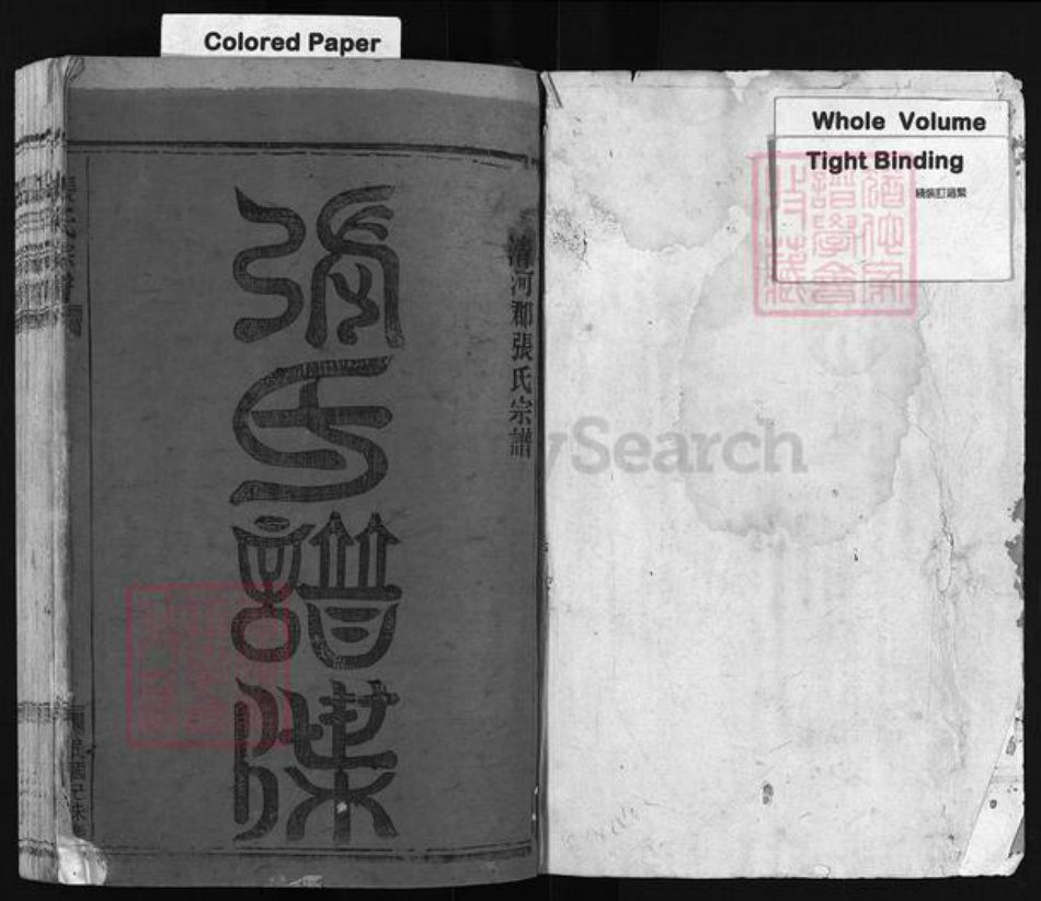 浙江省温州市平阳县张氏族谱-张氏宗谱 [不分卷].pdf电子版插图2