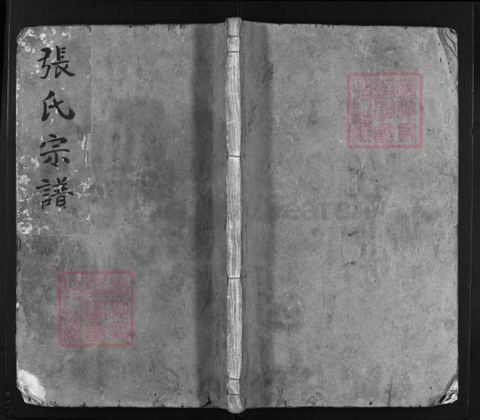 浙江省温州市永嘉县浙江省温州市平阳县张氏族谱-张氏宗谱 [不分卷].pdf电子版插图1