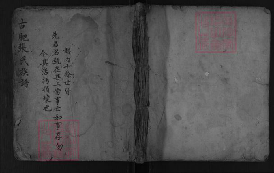 山东省泰安市肥城市张氏族谱-古肥张氏族谱.pdf电子版