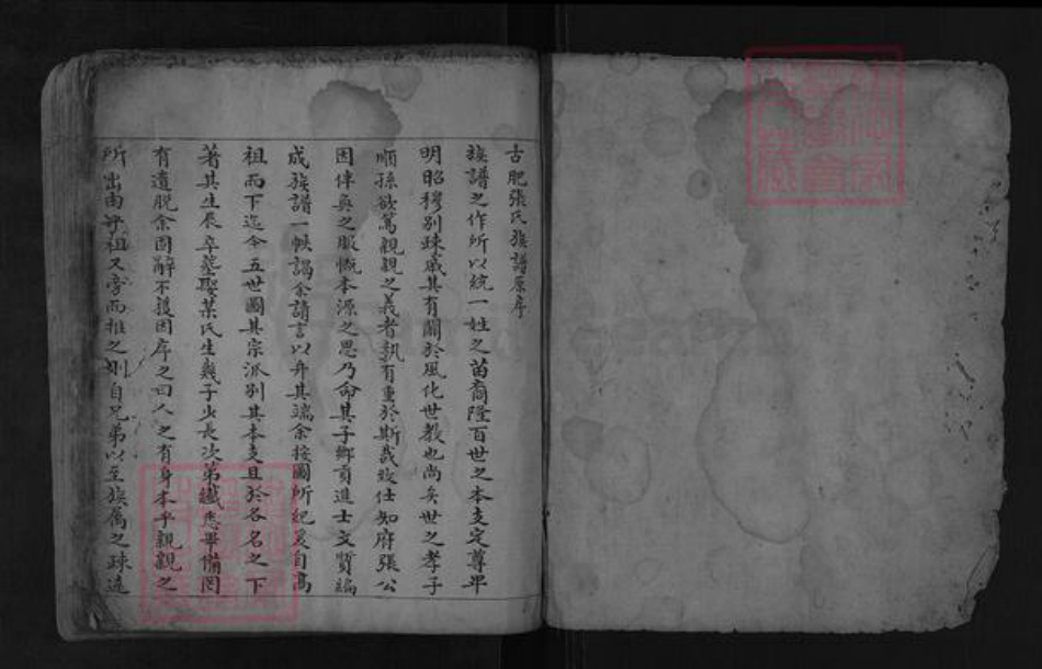 山东省泰安市肥城市张氏族谱-古肥张氏族谱.pdf电子版插图1