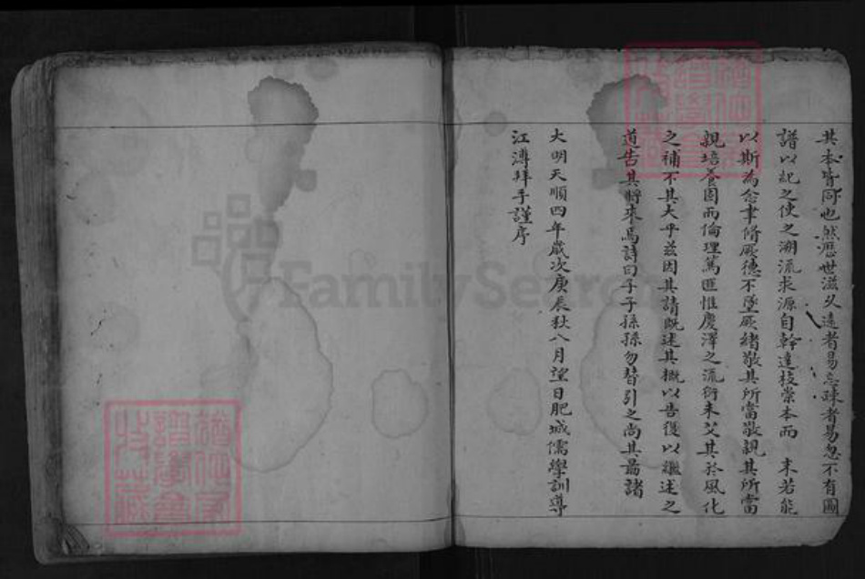 山东省泰安市肥城市张氏族谱-古肥张氏族谱.pdf电子版插图2