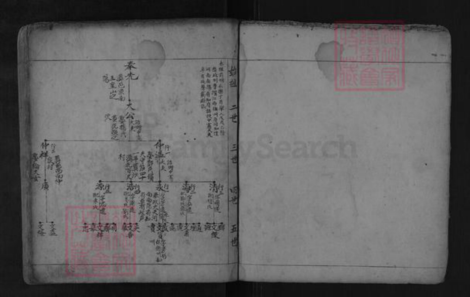 山东省泰安市肥城市张氏族谱-古肥张氏族谱.pdf电子版插图3