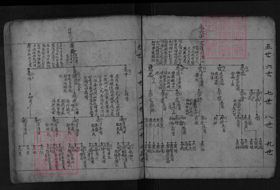 山东省泰安市肥城市张氏族谱-古肥张氏族谱.pdf电子版插图4