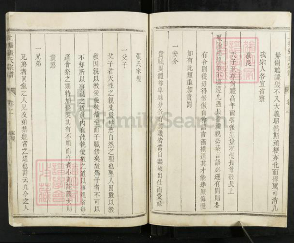 浙江省温州市永嘉县上塘张氏族谱-上塘张氏宗谱.pdf电子版插图5