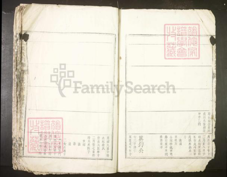 安徽省安庆市望江县张氏族谱-望江张氏族谱.pdf电子版插图1