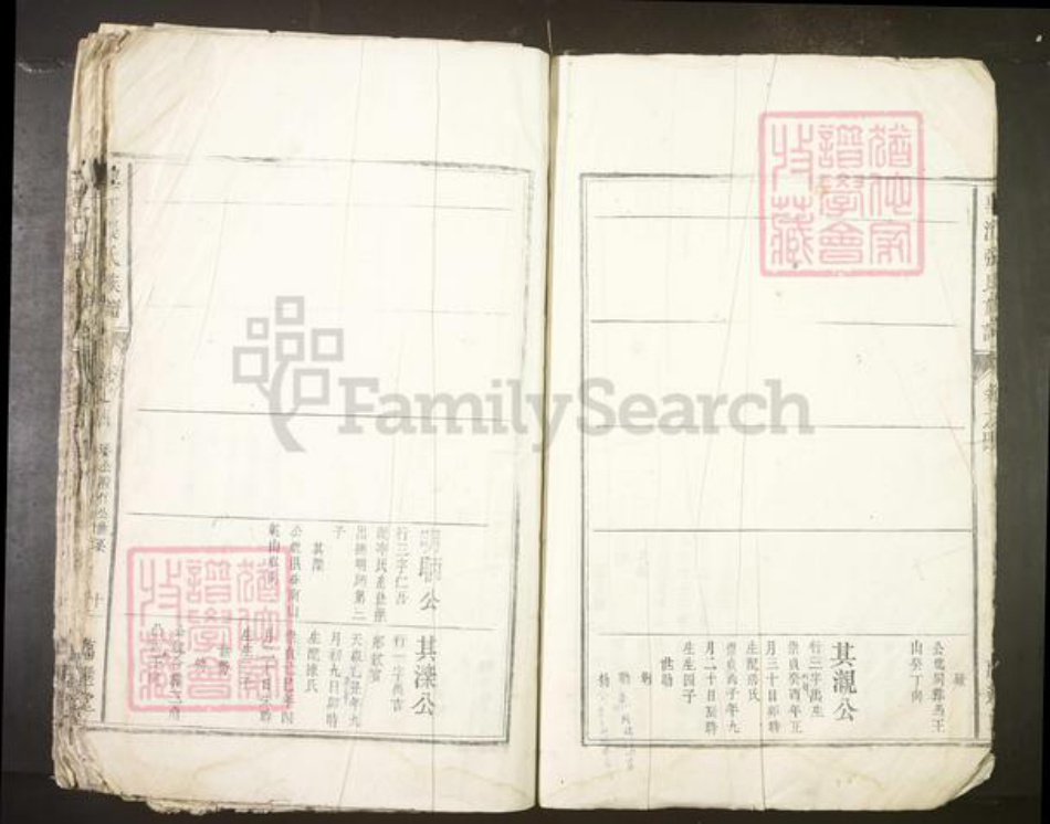 安徽省安庆市望江县张氏族谱-望江张氏族谱.pdf电子版插图4