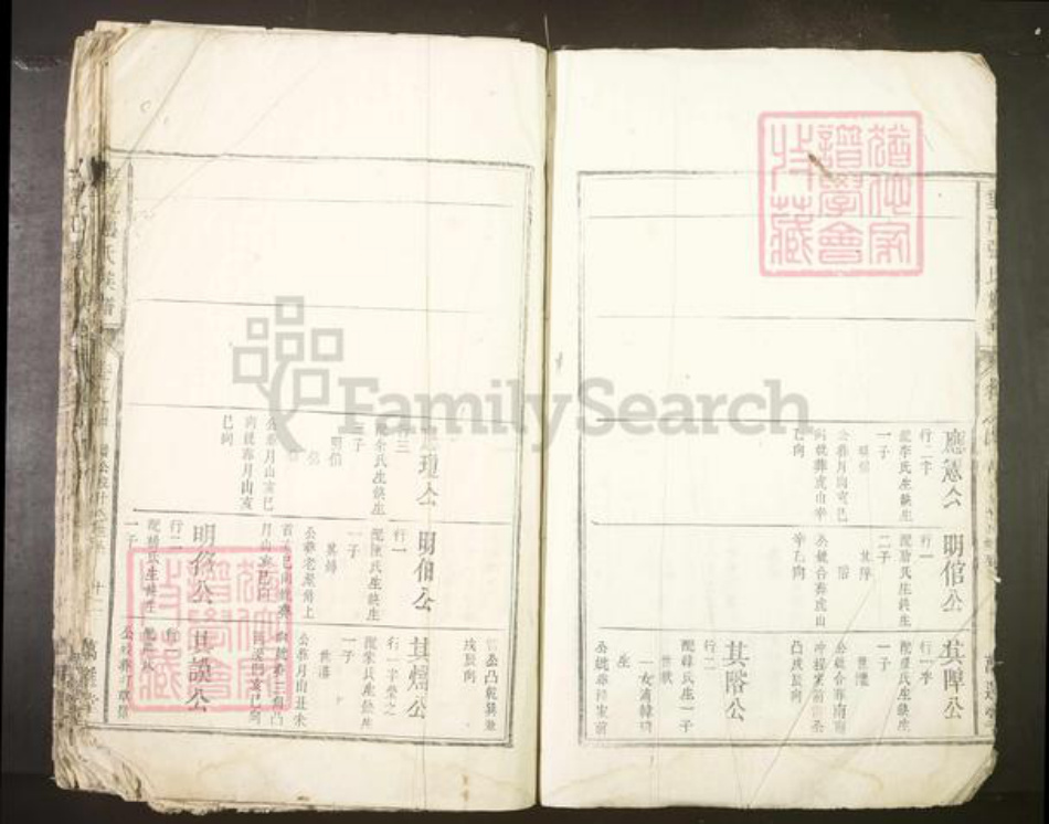 安徽省安庆市望江县张氏族谱-望江张氏族谱.pdf电子版插图5