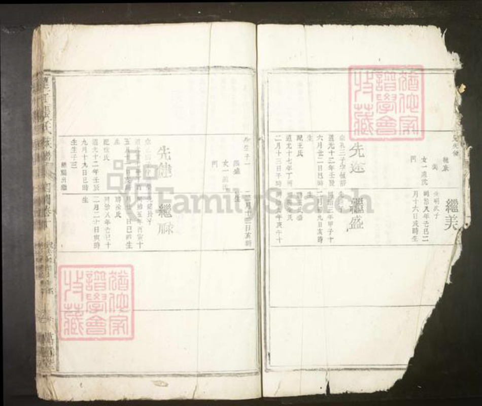 安徽省安庆市望江县张氏族谱-望江张氏族谱.pdf电子版插图1