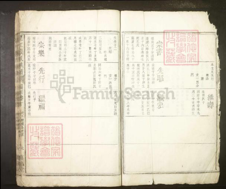 安徽省安庆市望江县张氏族谱-望江张氏族谱.pdf电子版插图2