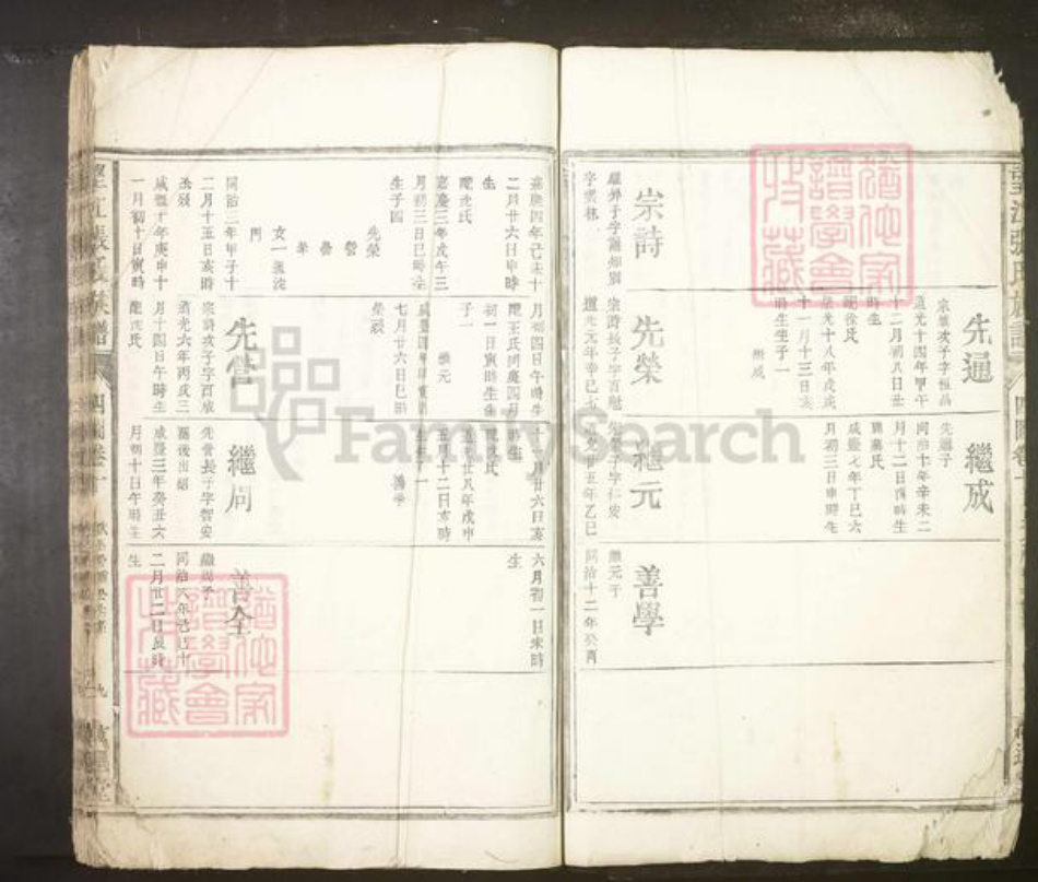 安徽省安庆市望江县张氏族谱-望江张氏族谱.pdf电子版插图4