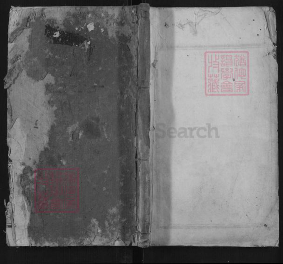 湖南省湘潭市张氏族谱-中湘铜陂张氏族谱.pdf电子版