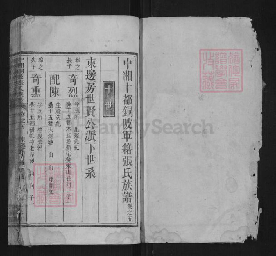 湖南省湘潭市张氏族谱-中湘铜陂张氏族谱.pdf电子版插图1