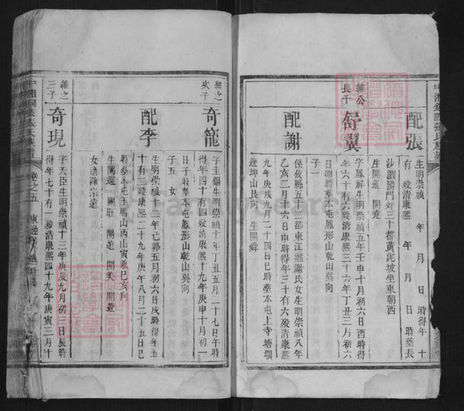 湖南省湘潭市张氏族谱-中湘铜陂张氏族谱.pdf电子版插图3