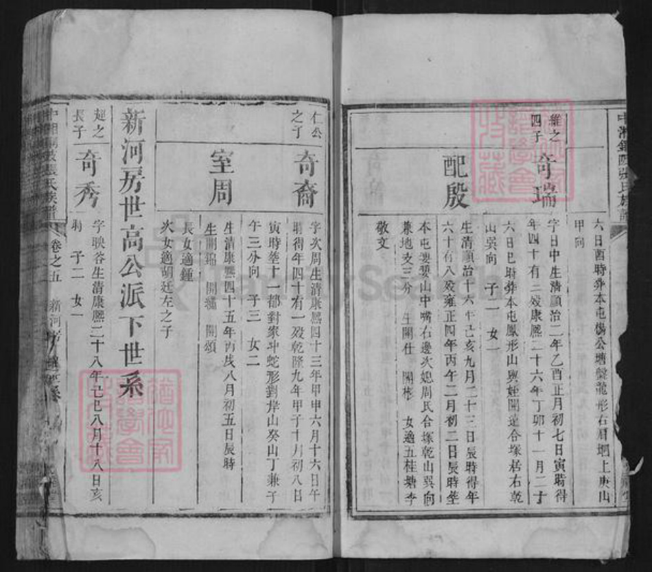 湖南省湘潭市张氏族谱-中湘铜陂张氏族谱.pdf电子版插图4