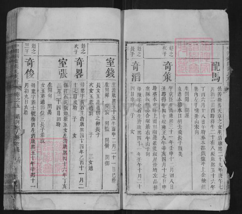 湖南省湘潭市张氏族谱-中湘铜陂张氏族谱.pdf电子版插图5