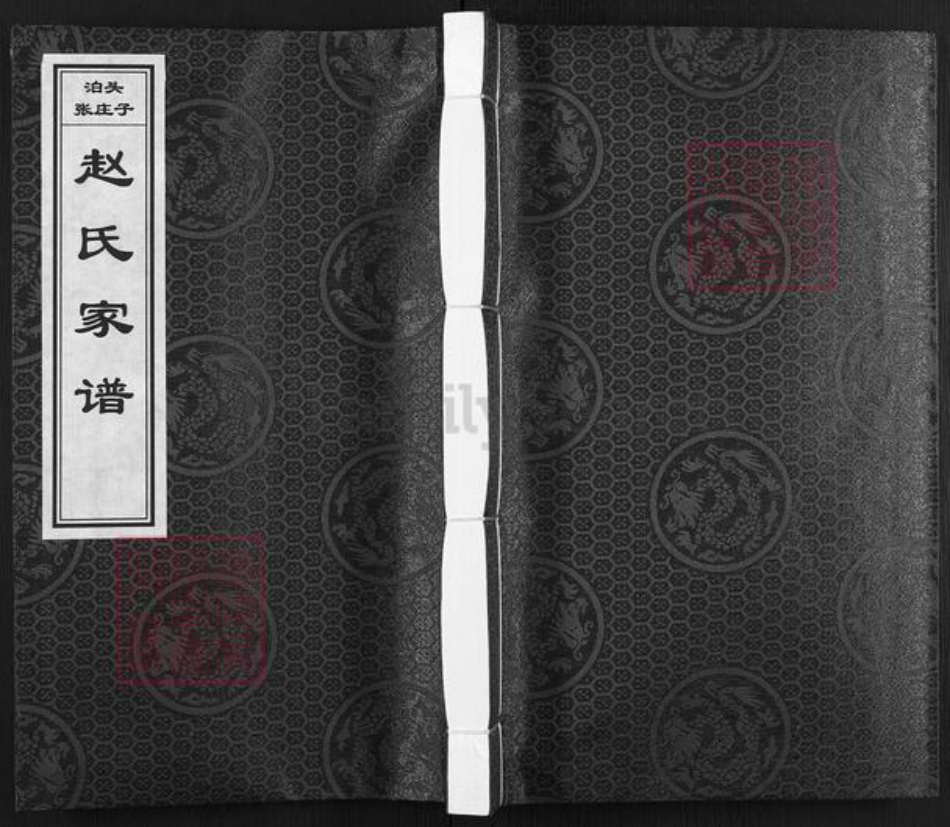 河北省沧州泊头市泊镇镇赵氏族谱-赵氏家谱.pdf电子版