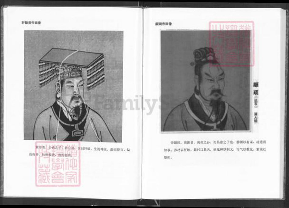 四川省广安市岳池县赵氏族谱-赵氏家谱.通谱.四川省广安市赵氏清献派文信公支.pdf电子版插图2