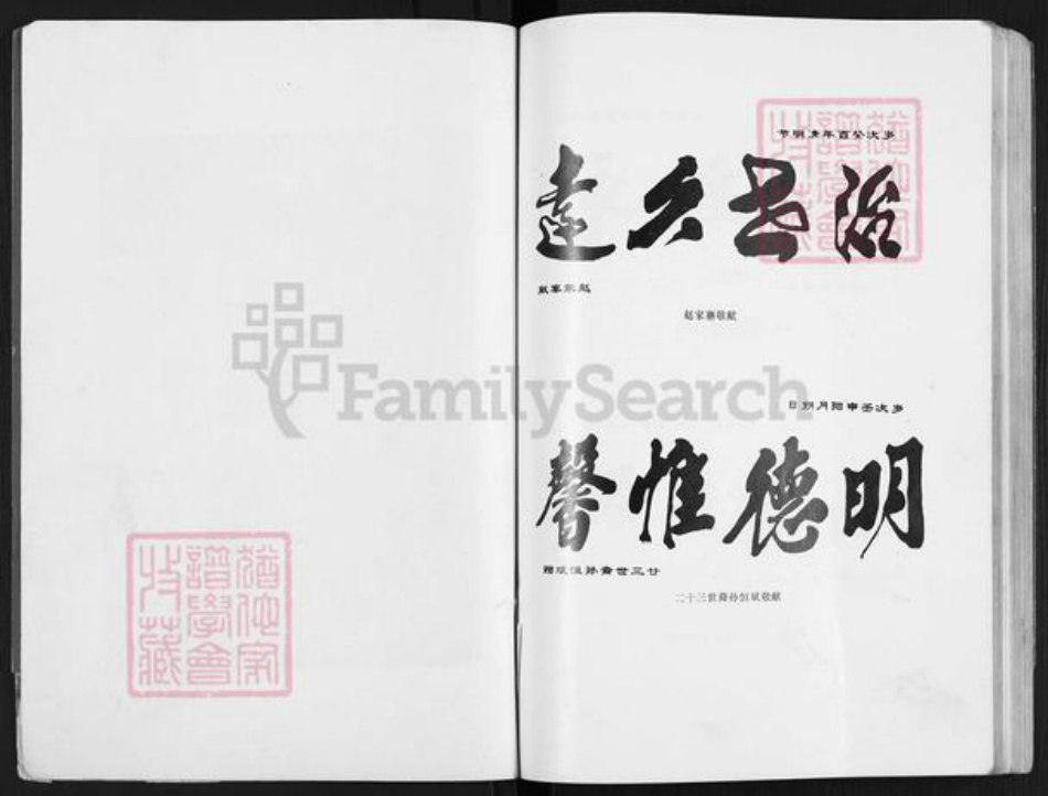 河南省郑州市新郑市辛店镇赵氏族谱-赵氏宗谱.pdf电子版插图3