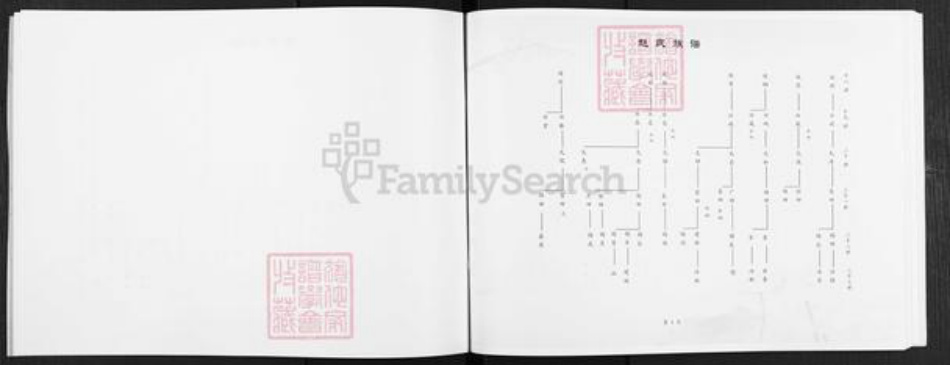 山东省济南市历城区赵氏族谱-赵氏族谱.pdf电子版插图5