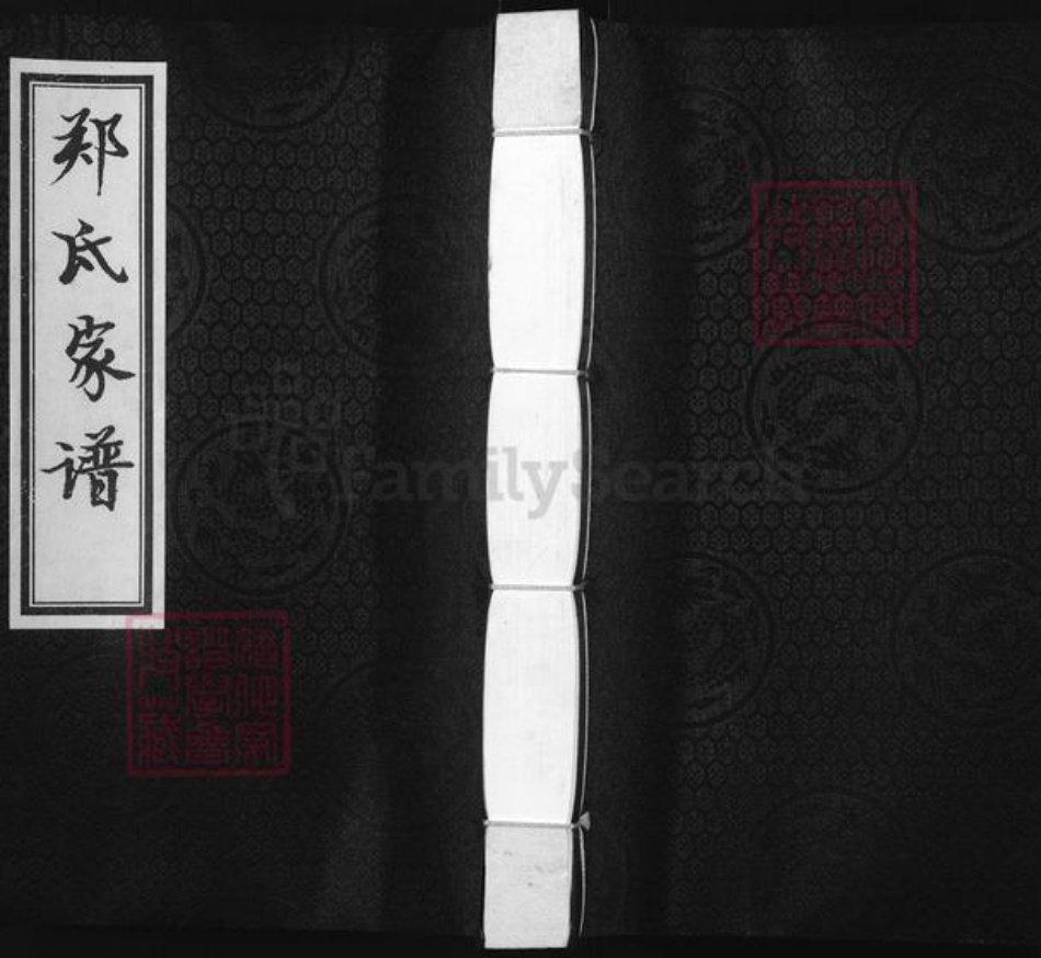 山东省德州市庆云县严务乡郑氏族谱-郑氏家谱.pdf电子版