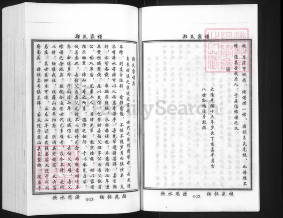 山东省德州市庆云县严务乡郑氏族谱-郑氏家谱.pdf电子版插图3