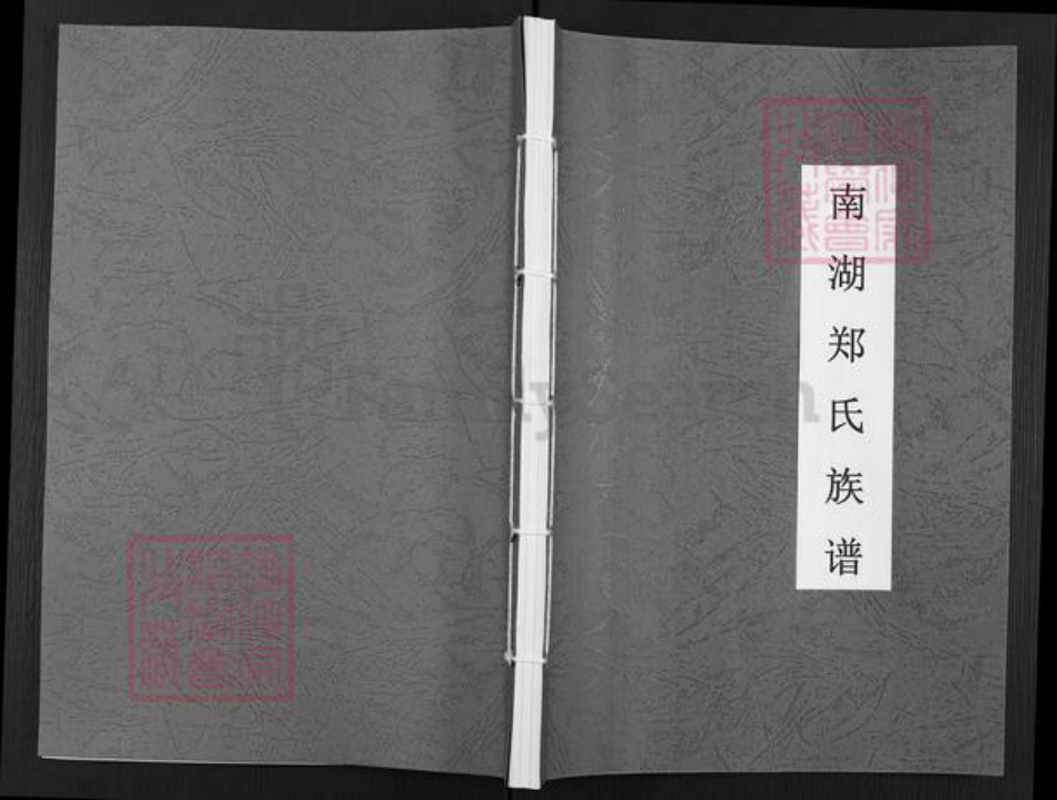 福建省莆田市仙游县钟山镇郑氏族谱-南湖郑氏族谱.pdf电子版