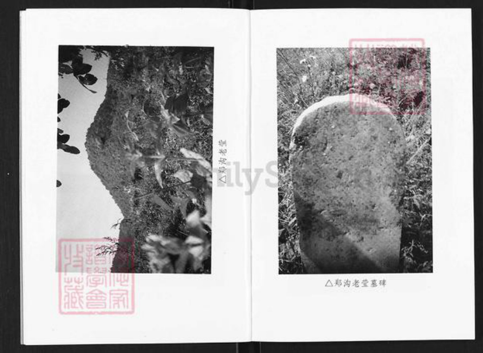 山西省长治市沁源县郭道镇郑氏积善堂族谱-郑氏家谱.pdf电子版插图4