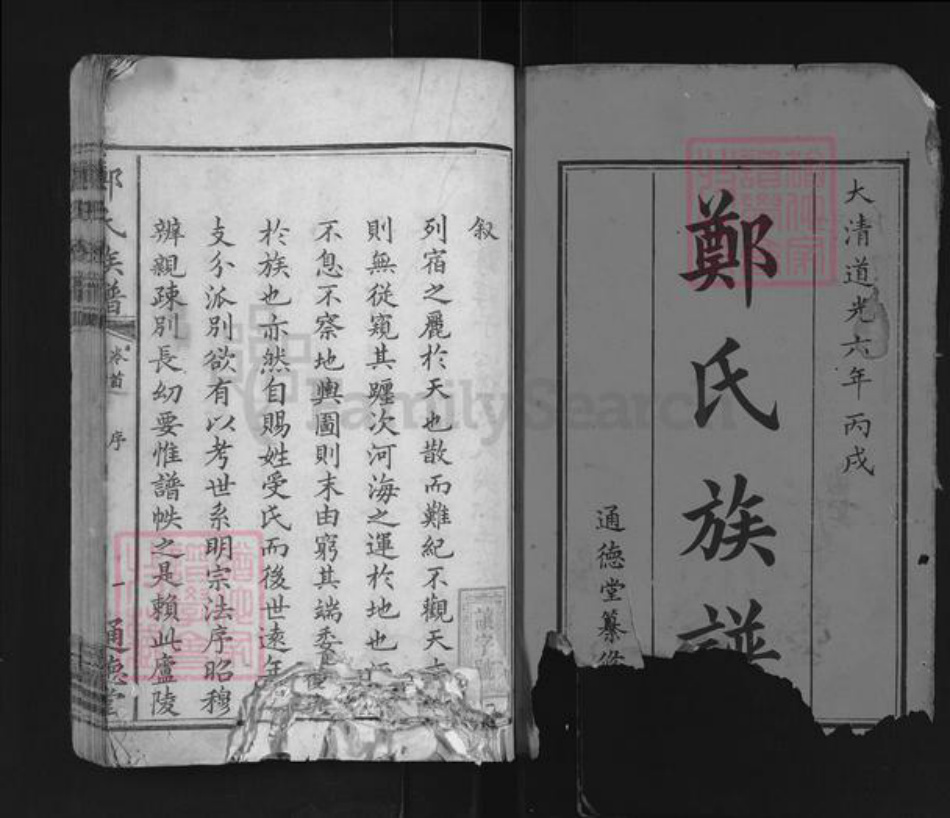 湖南省长沙市浏阳市沙市镇郑氏通德堂族谱-郑氏族谱.pdf电子版插图1