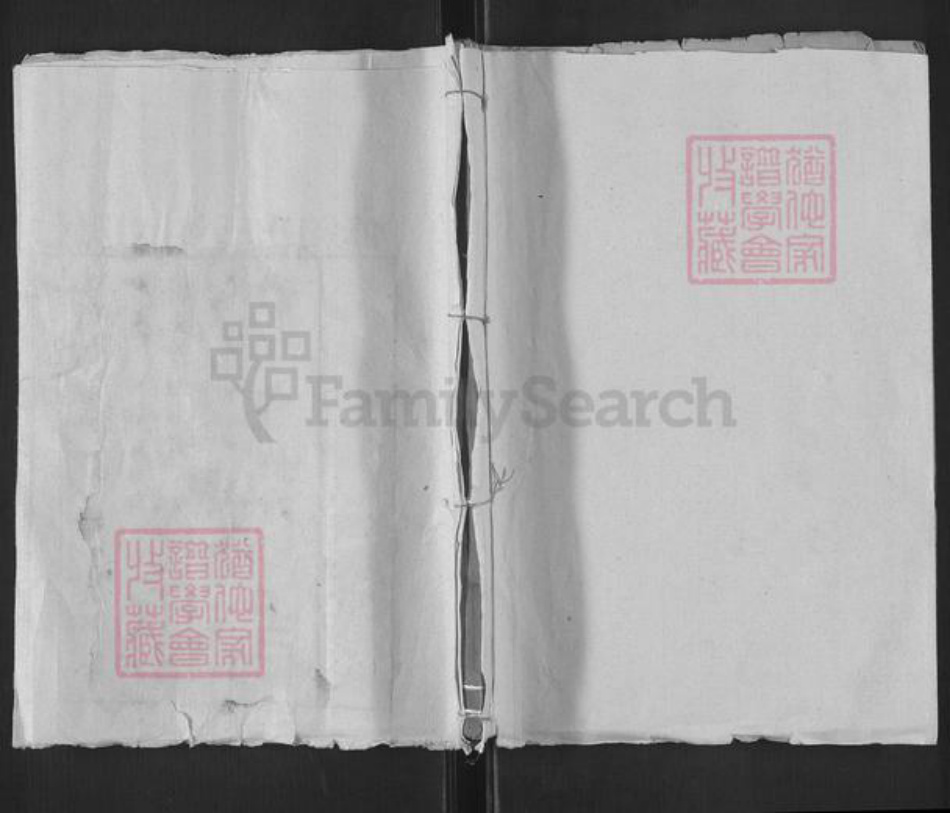 山东省泰安市东平县郑氏济美堂族谱-东原郑氏家谱.pdf电子版