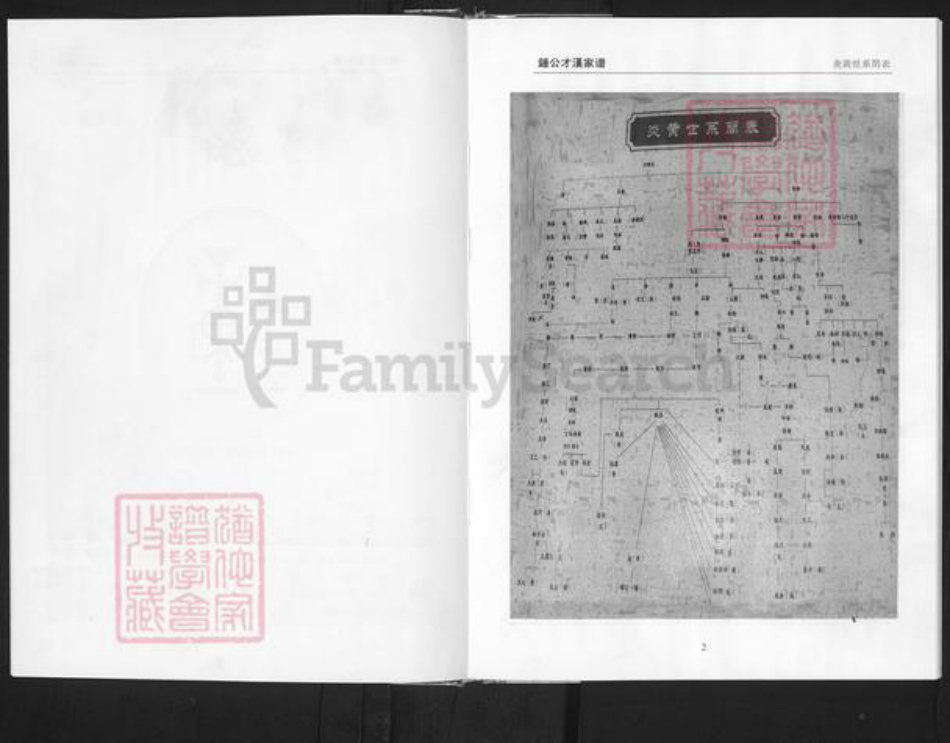 江西省赣州市南康区钟氏颍川堂族谱-颍川堂钟公才汉家谱.pdf电子版插图4